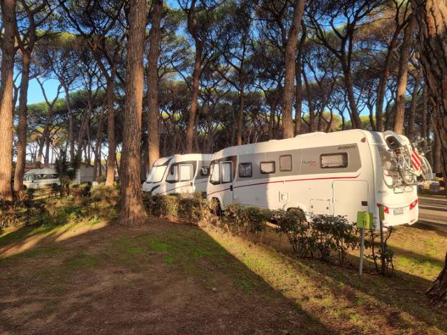 campery asone - 01 (4)